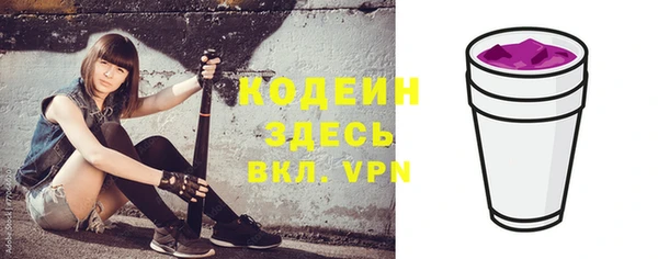 крисы Новодвинск