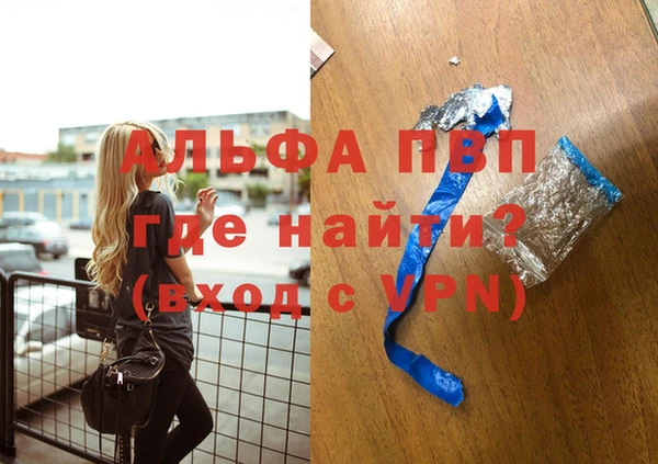 крисы Новодвинск