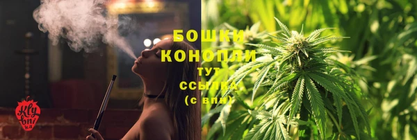 дживик Новозыбков