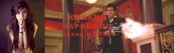 дживик Новозыбков