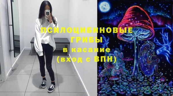 крисы Новодвинск