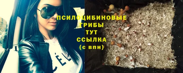 крисы Новодвинск