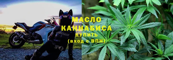 крисы Новодвинск