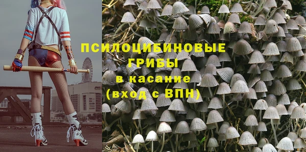 крисы Новодвинск