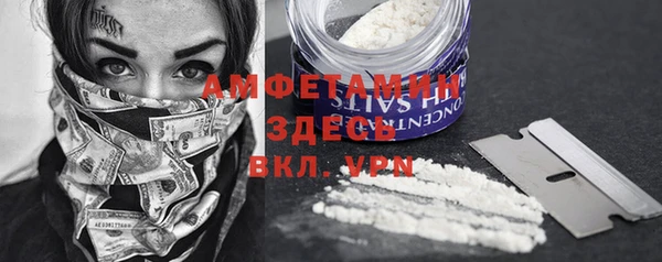 крисы Новодвинск