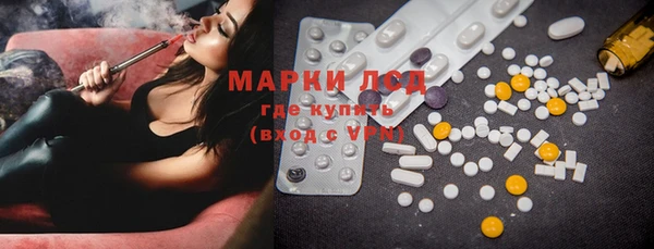 дживик Новозыбков