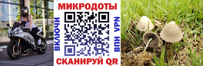 Псилоцибиновые грибы мухоморы  Купить где  Качканар 